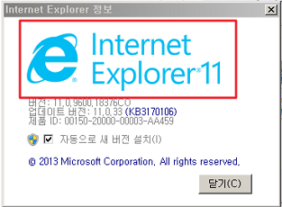 익스플로러 버전 예시
